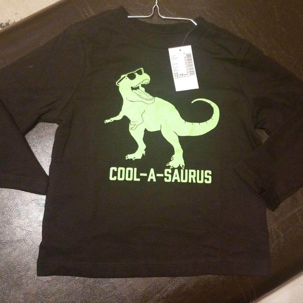 Cool a saurus tshirt 12-18m